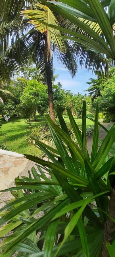 New Holiday Reach Unawatuna Luaran gambar