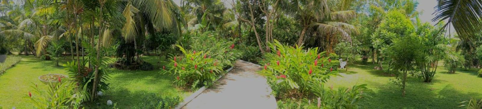 New Holiday Reach Unawatuna Luaran gambar