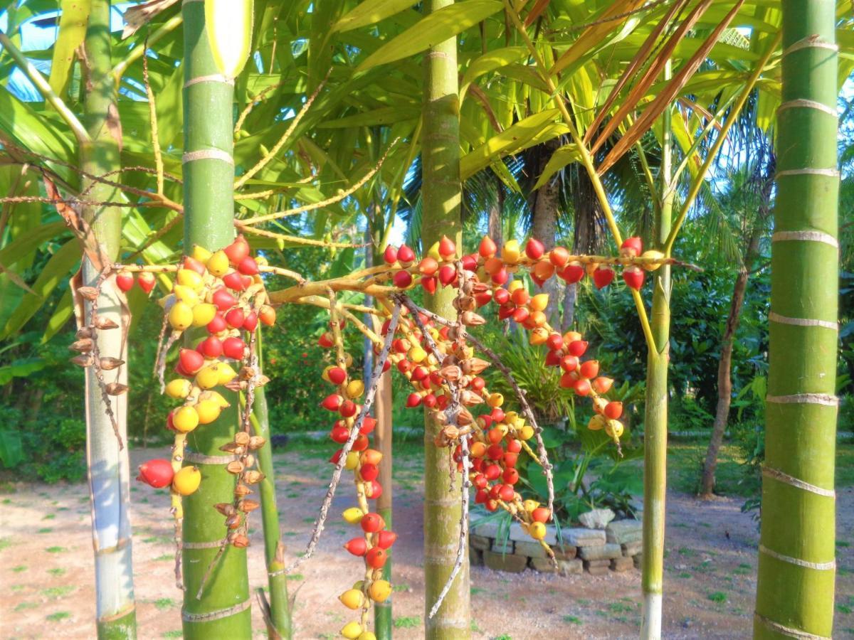 New Holiday Reach Unawatuna Luaran gambar